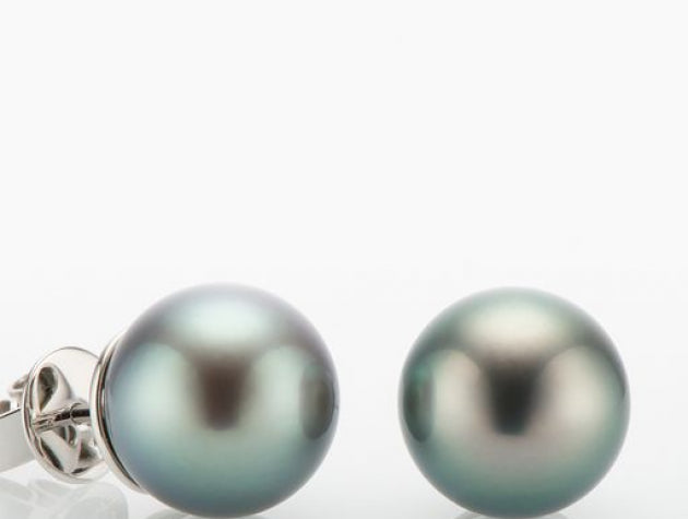 Tahitian Cultured Pearl Earrings