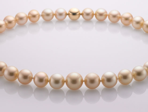 Golden South Sea Cultured Pearl Strand