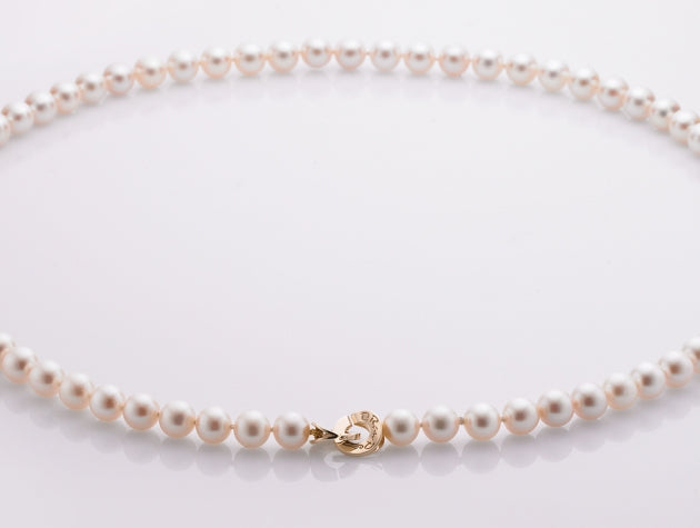 Freshwater Cultured Pearl Strand #16353