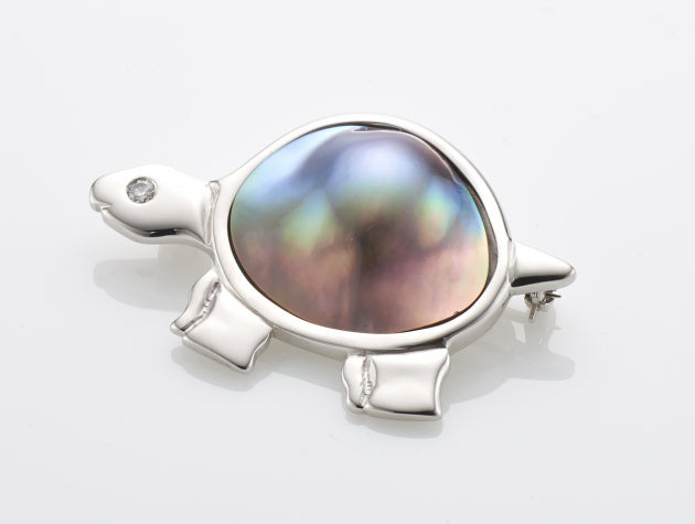 Cortez Rainbow Lipped Turtle Brooch