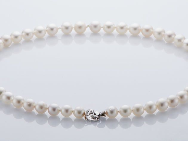 South Sea Cultured Pearl Strand #21028