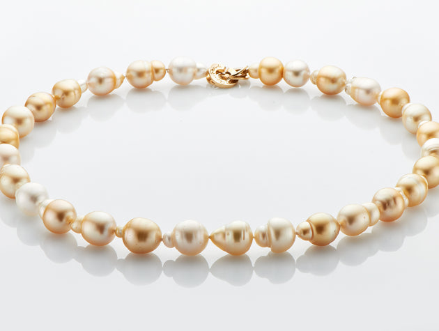 Golden South Sea Cultured Pearl Strand