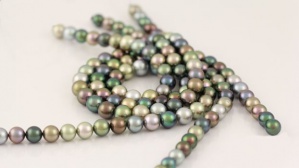 Glorious Tahitian pearls in various colours